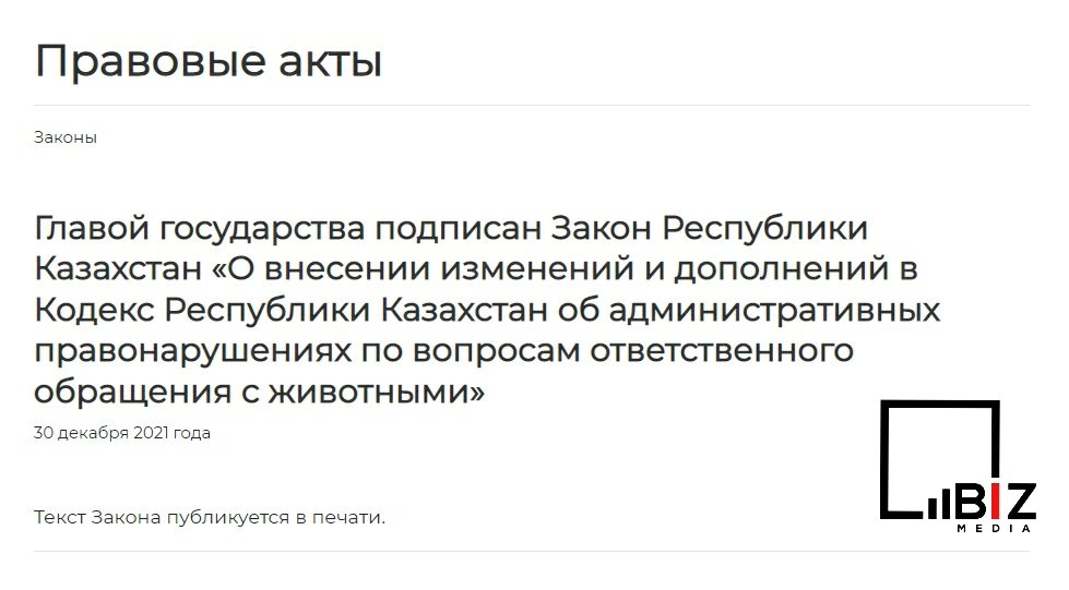 Помощь животным. Bizmedia.kz