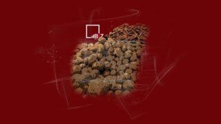 Сдерживают ли цены на продукты? Эксперимент