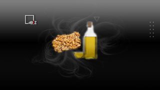 Запрет Казахстану на экспорт зерна и масла — последствия