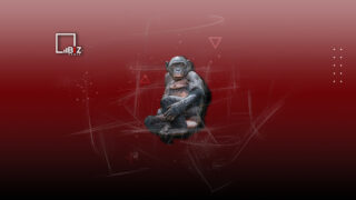 В Британии крупнейшая вспышка обезьяньей оспы