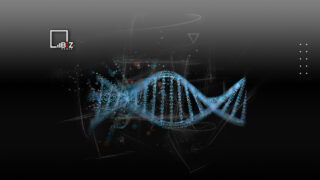 Что такое ДНК простыми словами