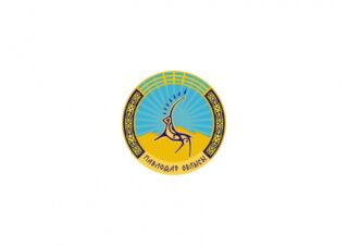 Впервые у Павлодарской области появился свой логотип