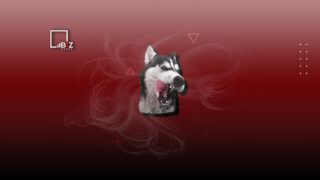 Бойня для собак в Алматинской области. Что о ней известно?