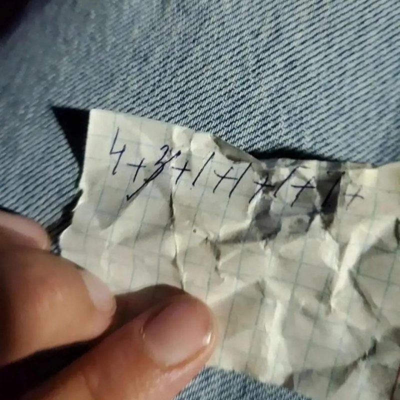 Иллюстрация — Бойня для собак в Алматинской области. Что о ней известно?