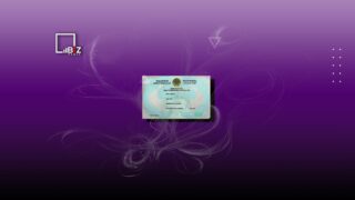 Названы услуги, которые даст ИИН россиянам в Казахстане