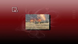 Пожары в Костанайской области в Казахстане: полная хронология