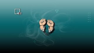 Мажилис Казахстана принял в работу проект закона «Об амнистии»