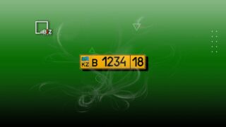 Завезенные авто с желтыми номерами легализуют в Казахстане — МВД