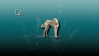 1,4 млрд тенге направят на восстановление породы тазы в Казахстане