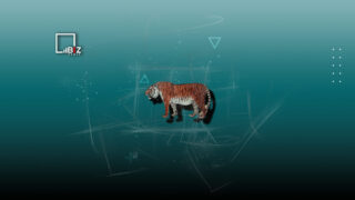 В Минэкологии рассказали, как будут возрождать туранского тигра из амурского