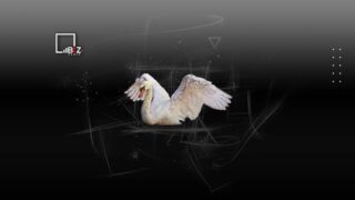 Брекешев — о гибели лебедей: Возможно выброс газов