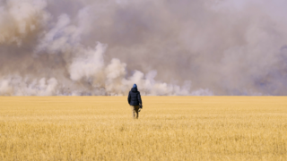 ООН назвала инициативу Казахстана по сохранению степей одним из 10 лучших в мире флагманов восстановительных проектов