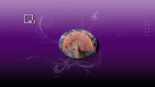 В Казахстане с 2023 года запустят льготное микрокредитование для молодых людей