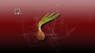 Глава Минторговли не исключает рост цен на лук на фоне слухов о риске его дефицита