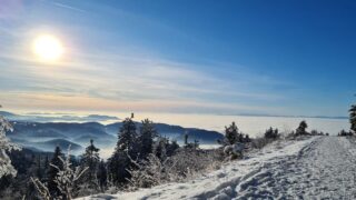 14 февраля в Астане будет холодно, в Алматы и Шымкенте — потепление