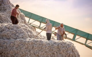 Более 13 тысяч иностранных граждан легально работают в Казахстане, согласно Минтруда