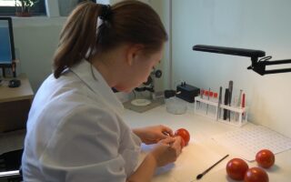 Сенатор предлагает повысить зарплату фитосанитарным инспекторам в Казахстане