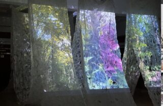 Художник по текстилю из США ломает границы с войлоком, традиционным материалом казахских кочевников