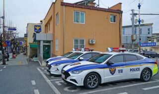 Казахстанцев подозревают в создании поддельных историй в заявках на получение статуса беженца в Южной Корее