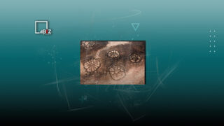 Казахстанские ученые продолжают исследовать загадочные чудеса степных тургайских геоглифов