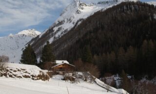 Климатический кризис: Legambiente сигнализирует о сильной засухе