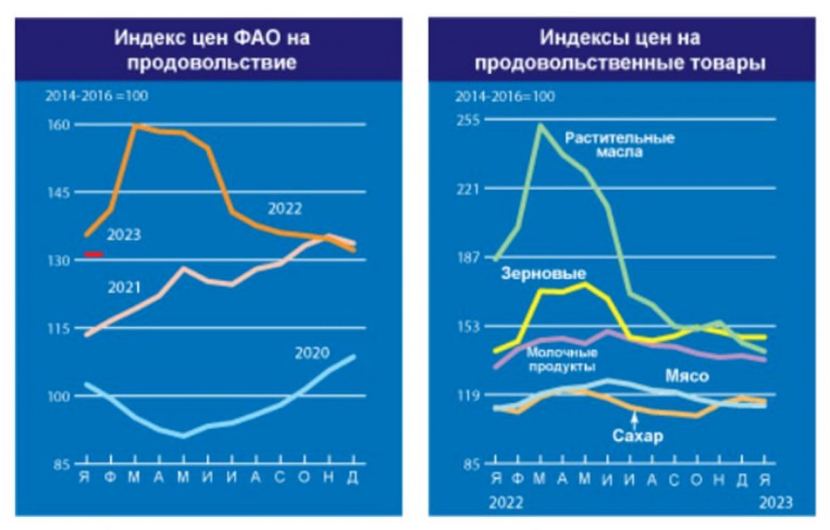 Истончил: сайт ФАО