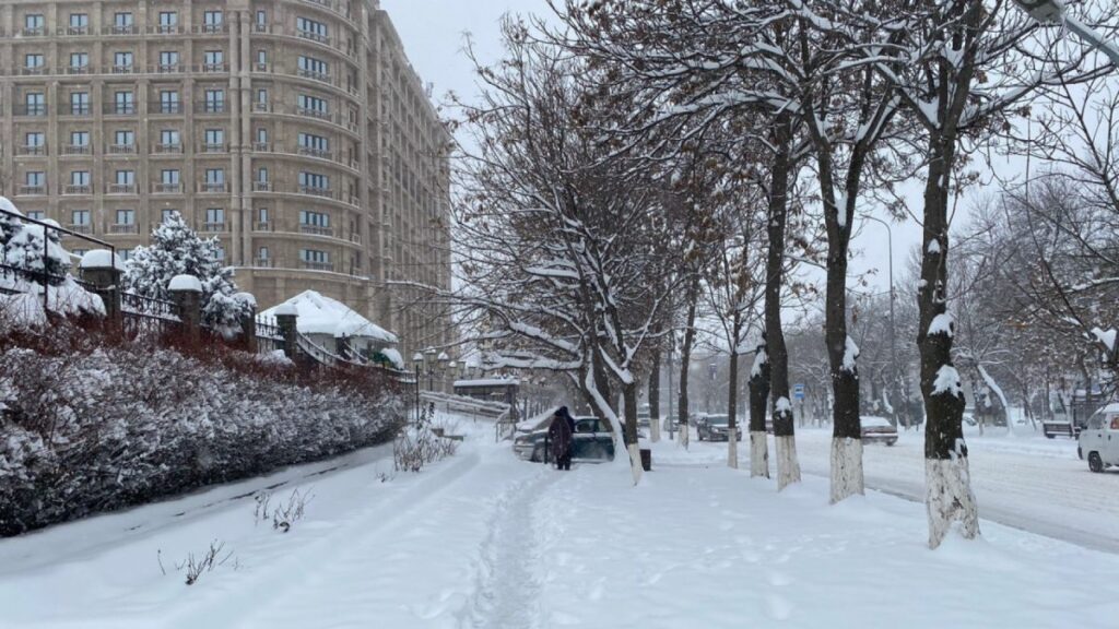 Фото: tengrinews.kz