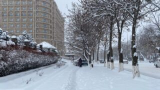 В субботу в Астане без осадков, в Алматы и Шымкенте — снег