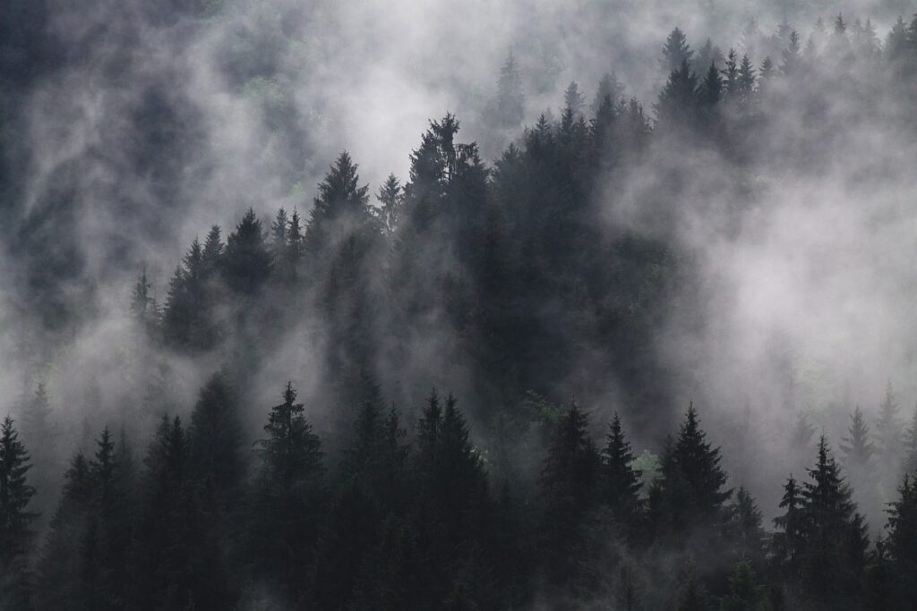 Фото: Pixabay.