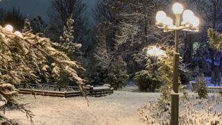 Сегодня, в понедельник, в Астане снег, в Алматы и Шымкенте без осадков