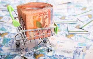 Благотворительные организации и 2 млрд мошенничества: в РК создадут онлайн-платформу