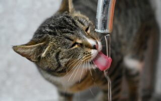 В Караганде из-за коммунальной аварии несколько улиц остались без воды