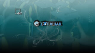 В Казахстане изменили правила отработки для выпускников «Болашака»