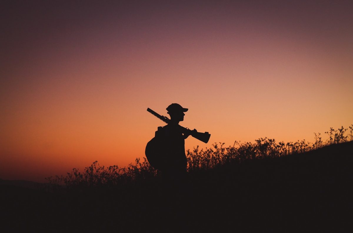 Фото: Pixabay.com