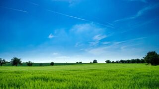 В Казахстане выявили еще 21 млн неиспользуемых и нерационально используемых земель