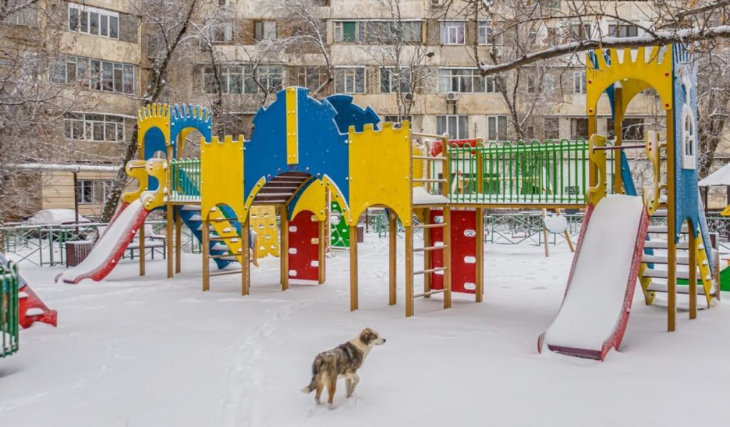 Фото: открытые источники