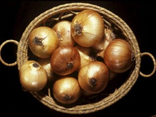 За январь 2023 года лук подорожал на 22,5%