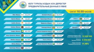 ЦИК: Явка избирателей к 16:00 на выборах в Казахстане составила 51,98%