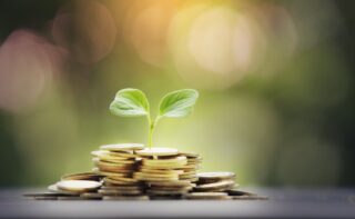 Казахстан экспортирует более девяти миллионов тонн зерна и муки в 2023 году