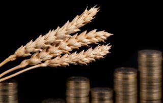 Казахстан выделит дополнительно 55 млрд тенге на развитие сельских территорий