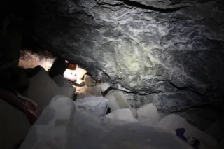 Кости, найденные в Южной Австралии, принадлежат крупнейшему орлу