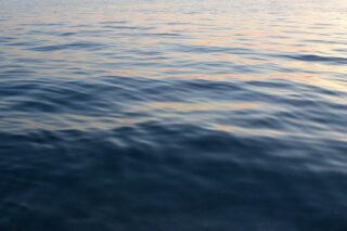В Туркестанскую область направили 1 миллиард кубометров воды