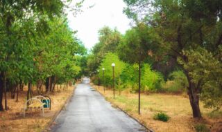 Прогноз погоды на ближайшие три дня в Казахстане: осадки, гололед и туман