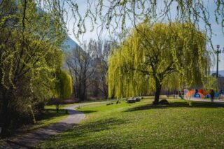 Прогноз погоды в Астане, Алматы и Шымкенте на сегодня, 25 марта