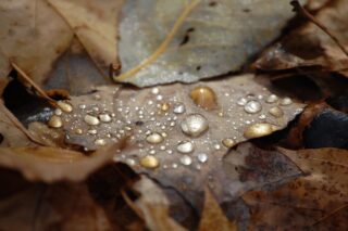 Сегодня в Астане возможен снег, в Алматы и Шымкенте — дожди