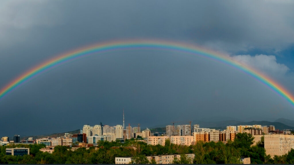 Фото: Shutterstock/Максим Золотухин