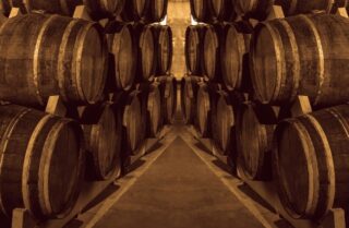 Столовый и винный виноград появились 11 000 лет назад в Западной Азии и на Кавказе: исследование