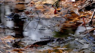 В Костанайской области размыло трассу «Торгай—Шили—Аралколь»