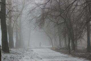 В некоторых областях страны 23 марта ожидаются дождь, снег и туман