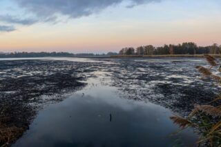 В районе ЗКО установили режим ЧС, связанный с природными явлениями